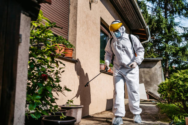 Reliable Dallas, NC Pest Control Solutions