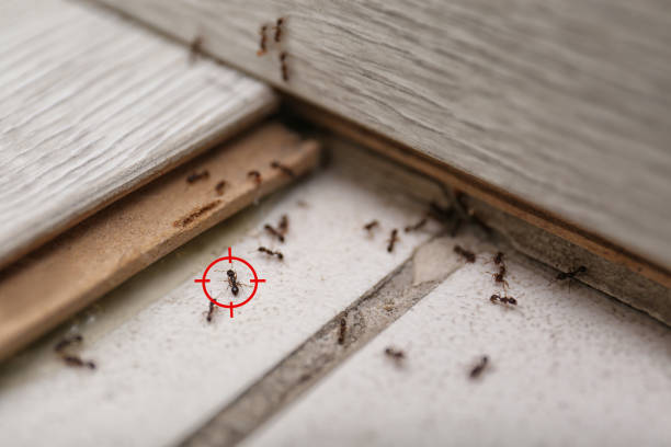 Best Commercial Pest Control Services  in Dallas, NC