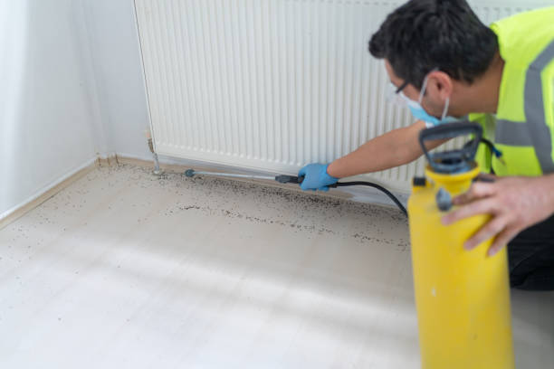Best Best Pest Control Companies  in Dallas, NC