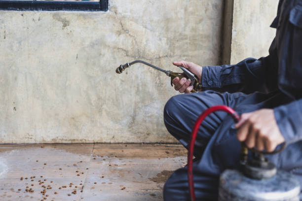 Best Mosquito Control Services  in Dallas, NC
