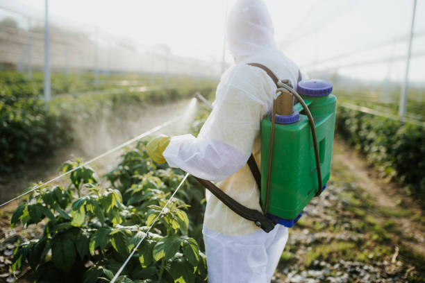 Best Best Pest Control Near Me  in Dallas, NC
